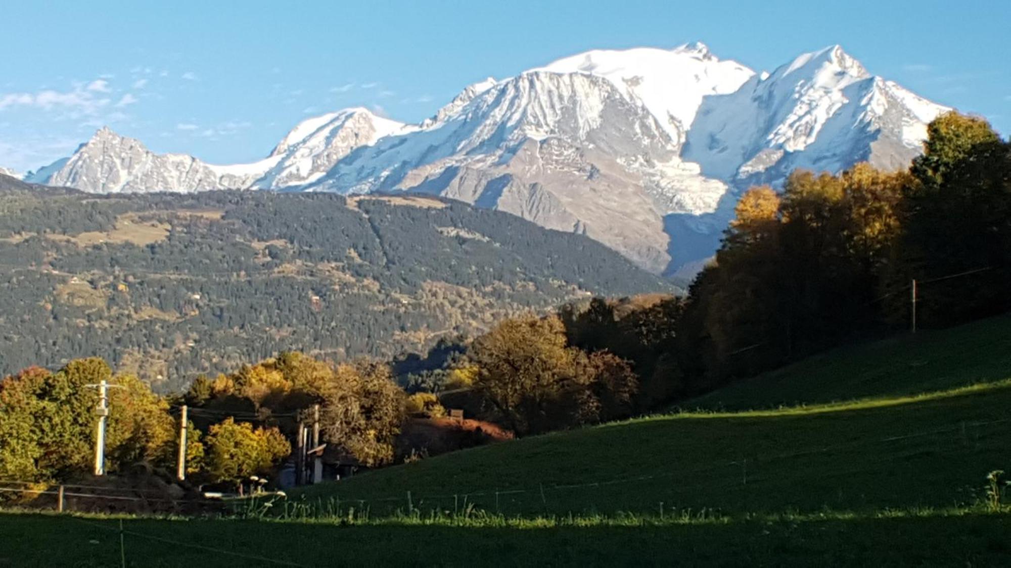 La Ferme Du Mont-Blanc Bed & Breakfast Комбо Екстериор снимка